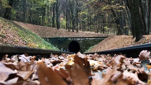 Children's Railway. The train rides through the autumn forest leaving a dark  Stock Footage 119057923