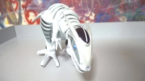 Children's robot robot dinosaur Video stock 101076162