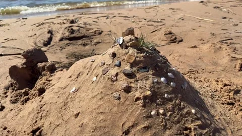 Childrens Sandcastle Decorated with Shells on Beach Shore Stock-Footage 334704329