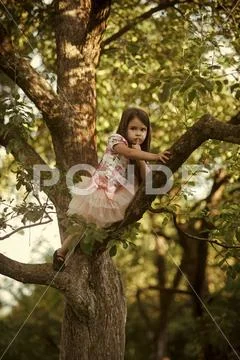 Children's secret. Child climb tree branch in summer garden, secret or silence Stock Photos
