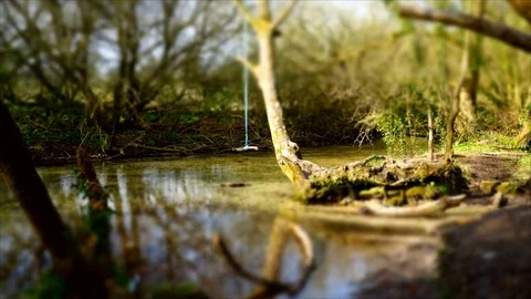 Children's Swing Over a stream Stock Footage 74228177