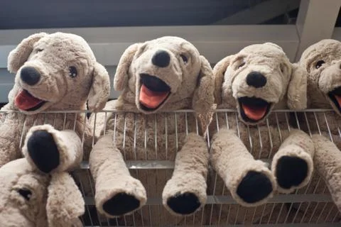 Children's teddy bear Stock Photos