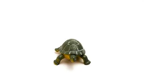 Children's Toy In The Shape Of A Turtle Stock Photos