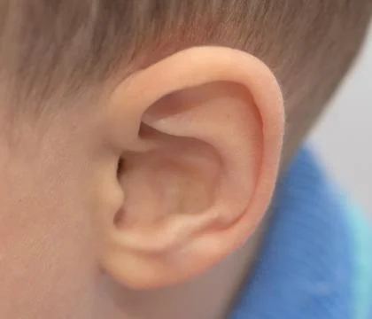 Child's ear. macro Stock Photos