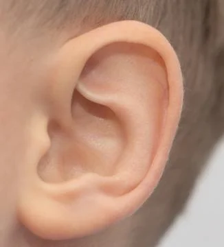 Child's ear. macro Stock Photos