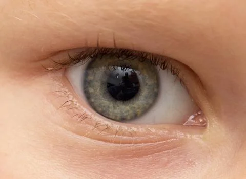 The child's eye. macro Stock Photos
