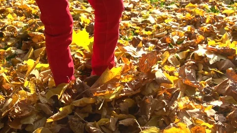 Child’s feet walking through fall leaves Stock Footage 88401164