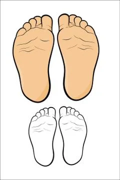 Child's foot Stock Illustration