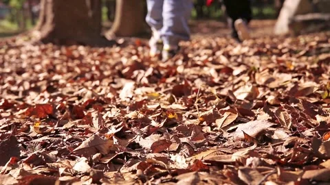A child's foot walking on the side of a fallen fall Stock Footage 288851265