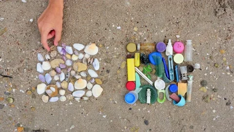 A child's hand on the beach lays out garbage and seashells in different heaps. Stock Footage 166319816