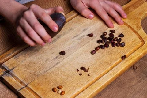 The child's hand breaks the stone shell of pine nuts Stock Photos