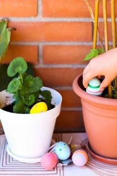 Child's hand hiding easter egg in plant pot Stock Photos