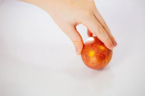 Child's hand holding a red Easter egg on a white background Photos