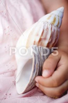 Child's hand holding sea shell Stock Photos