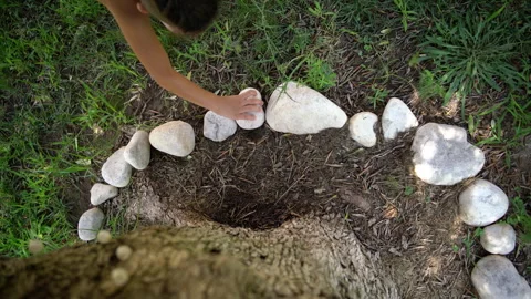 Child's Hand Places Stone in Circle Around Olive Tree Stock Footage 345618189
