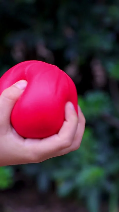 A child's hand squeezes a rubber anti-stress toy Stock Footage 344582965