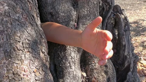 Childs hand stuck in the trunk Stock Footage 197657060