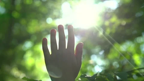 Child's hand touching sun reaching for sunlight breaking through lush green Stock Footage 198376600