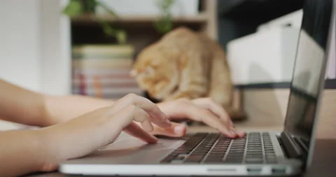 The child's hands are typing text on a laptop keyboard Stock-Footage 206652877