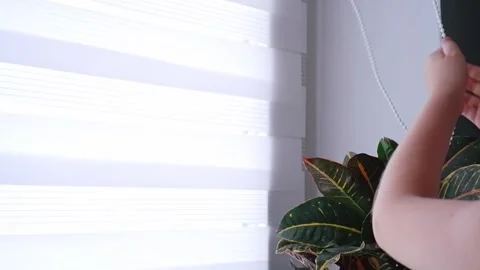Child's hands closing white roller blinds at home Stock Footage 340131169