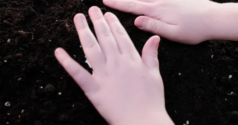 The child's hands dig out a white heart in the soil, the concept of hobby and lo Stock Footage 231743848