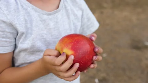 Child's hands holding an apple. Red apple on gray background. Spring Day. 스톡 동영상 201087417