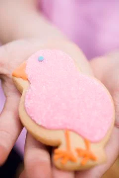 Child's hands holding Easter biscuit (pink chick) Stock Photos