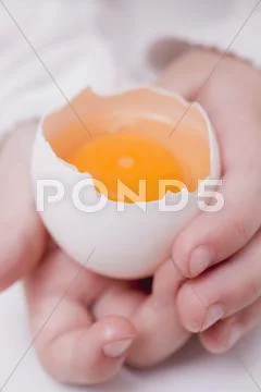 Child's hands holding raw egg with top cut off Stock Photos
