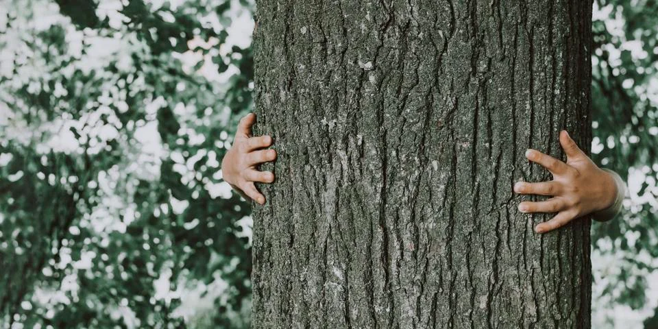 Child's hands hugging tree 스톡 사진