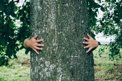 Child's hands hugging tree 스톡 사진