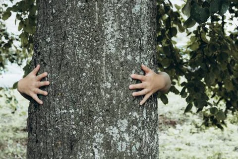 Child's hands hugging tree 스톡 사진