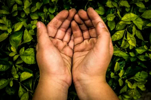Child's hands Stock Photos