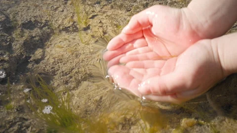 Child's hands scooping clean clear water with green algae in sea Stock Footage 263369271