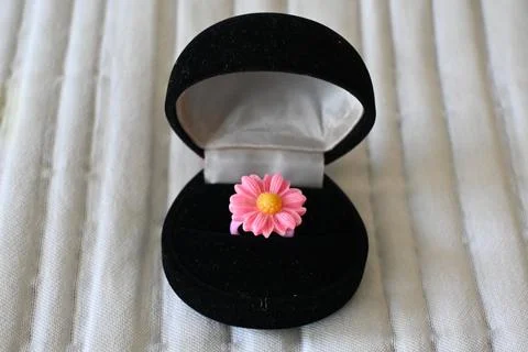 Child's ring in a ring box Photos