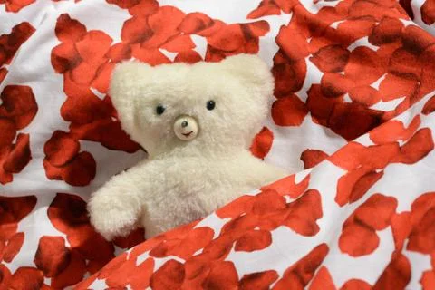Childs teddy bear Stock Photos