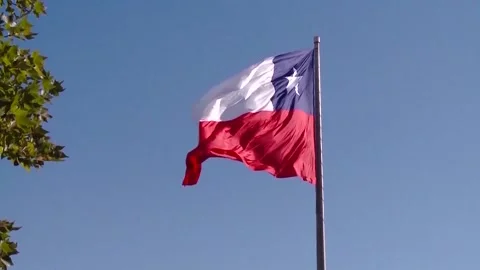 Chile: Chile submits application to join world's largest free trade agreemen... Stock Footage 280568422