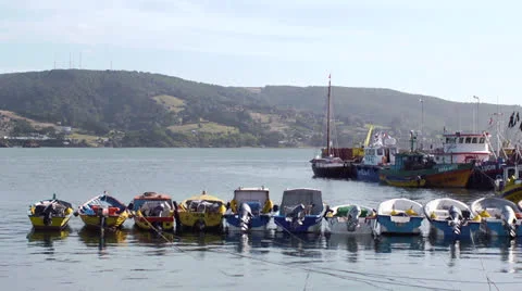 Chile, Chiloe, Multi Colored Outboard Boats on Harbor String Stock Footage 22710712