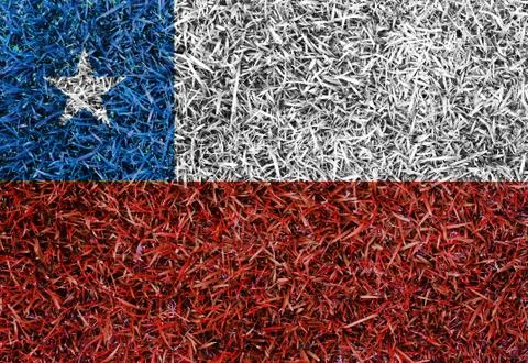 Chile flag color grass texture background Stock Illustration