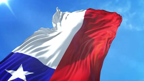 Chile Flag Low Angle View Stock Footage 295687993