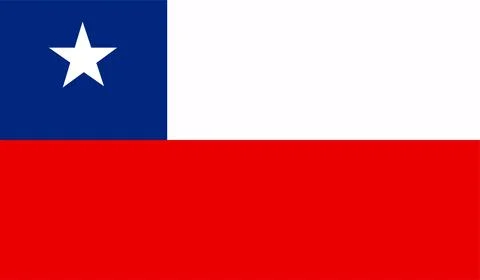 Chile flag vector Illustrazione stock
