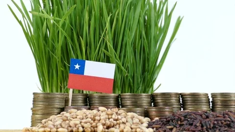 Chile flag waving with stack of money coins and piles of wheat and rice seeds Stock Footage 71860323