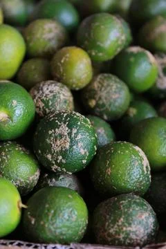 Chile oreng Photos