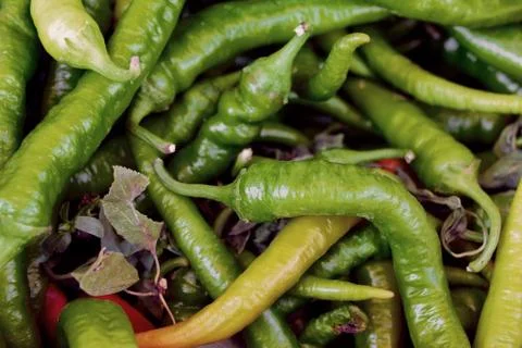 Chile peppers background. Stock Photos
