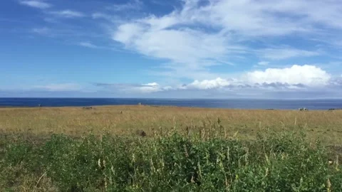 Chile - Rapa Nui / Easter Island - #43 - Driving / Meadow Stock Footage 160007808
