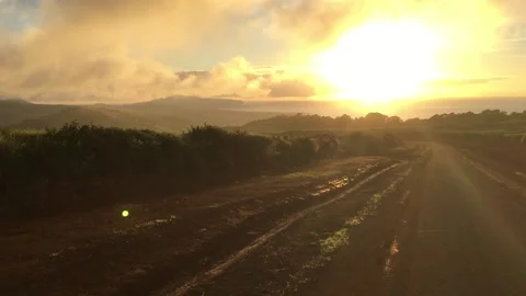 Chile - Rapa Nui / Easter Island - #35 - Sunrise Stock Footage 160008267