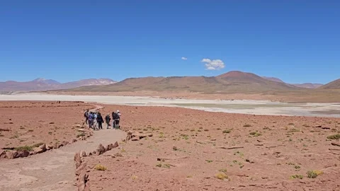 Chile, San Pedro de Atacama – Piedras Rojas, Altiplano [8K] Stock-Footage 331541176