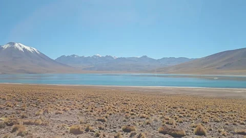Chile, San Pedro de Atacama – Lagunas Miscanti, Miñiques [8K] Stockbeeldmateriaal 331541353