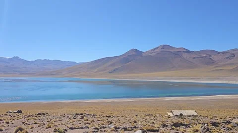 Chile, San Pedro de Atacama – Lagunas Miscanti, Miñiques [8K] Stock Footage 331541404