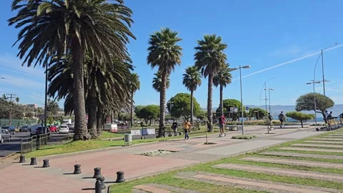 Chile, Viña del Mar – Concón, Reñaca, Coastal Walk [8K] Видео 331545493