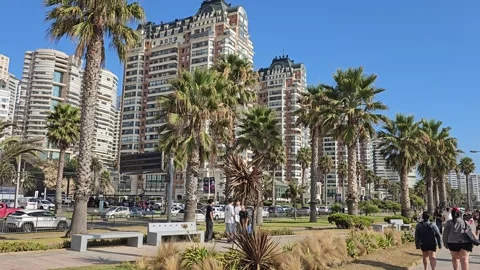 Chile, Viña del Mar – Concón, Reñaca, Coastal Walk [8K] Vídeo Stock 331545563
